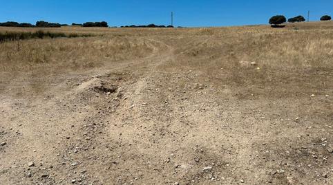 Foto 3 de Terreno en venta en Cerca Tejera, Colmenar Viejo