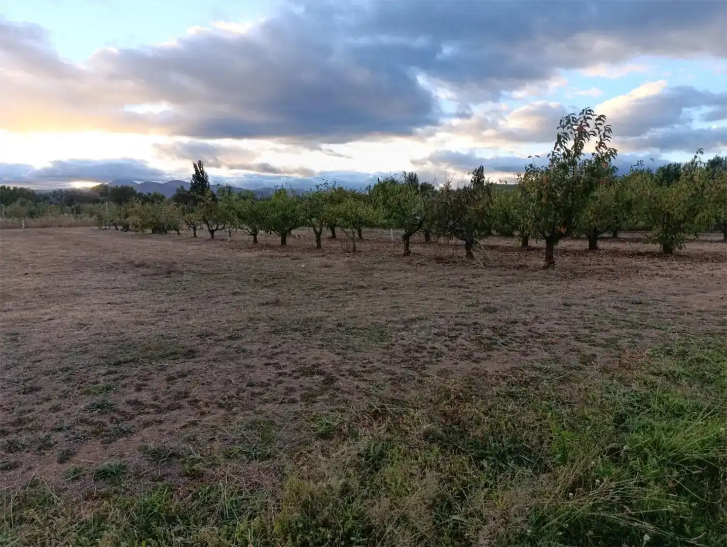 Dúplex en venta en Carracedelo, León