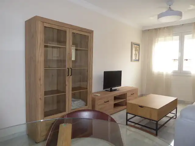 Living room of Apartments for rent in Málaga  with Air Conditioner, Furnished and Microwave