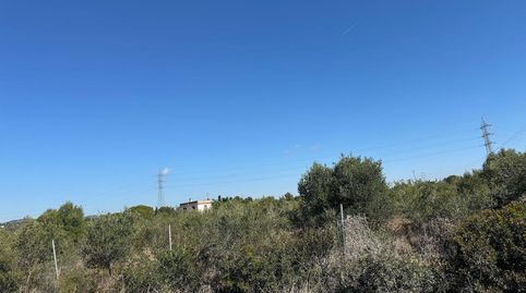 TERRERO RÚSTICO EN EL VENDRELL, imagen 2