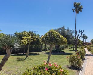 Jardí de Planta baixa en venda en Casares amb Aire condicionat, Terrassa i Piscina