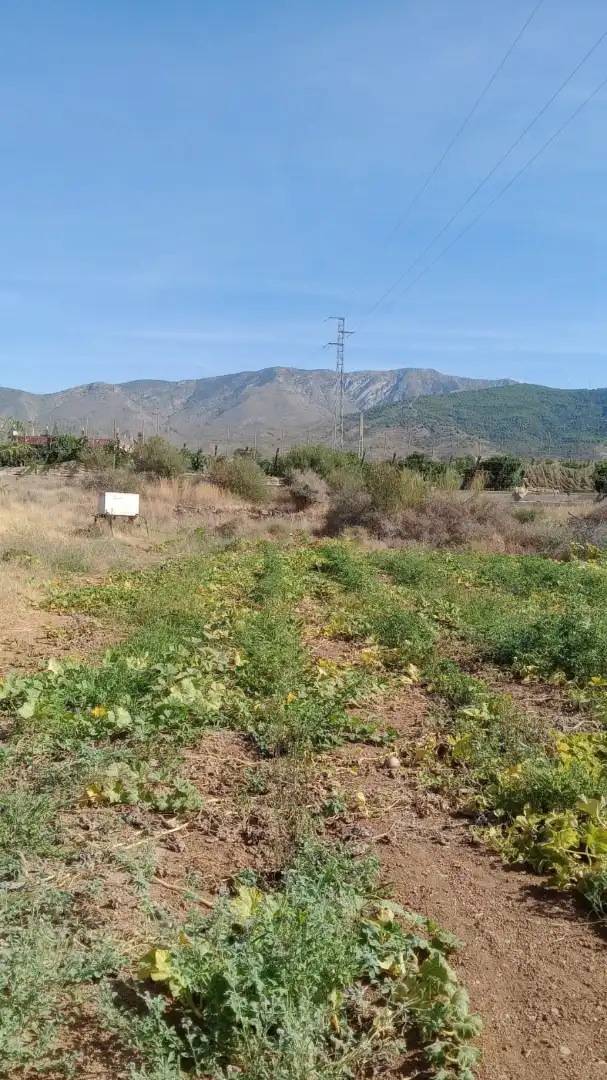 Terreno rústico en venta en Los Tablones - La Garnatilla