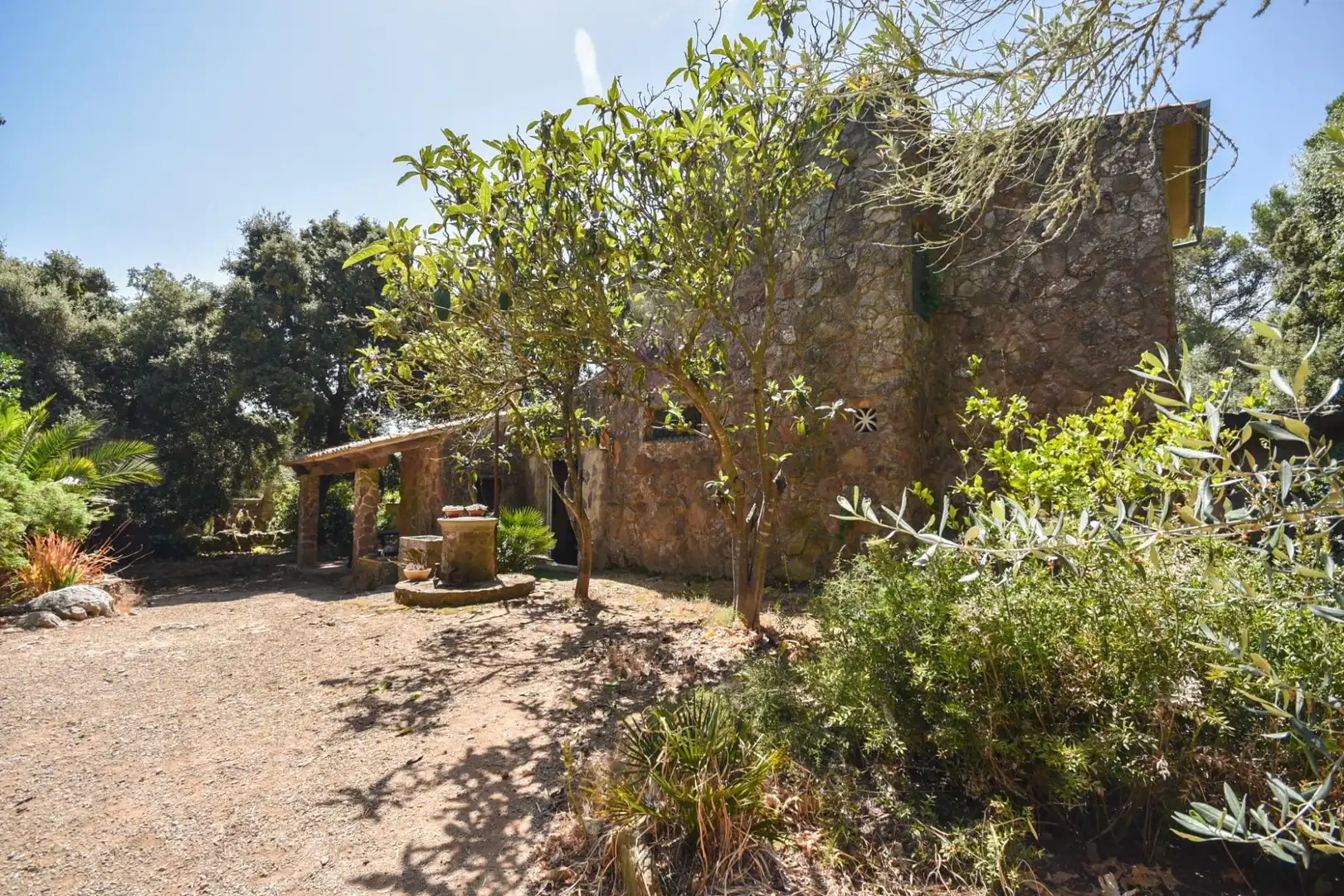 Jardín de Finca rústica en venta en Puigpunyent con Trastero