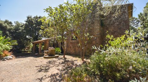 Foto 2 de Finca rústica en venta en Puigpunyent, Illes Balears