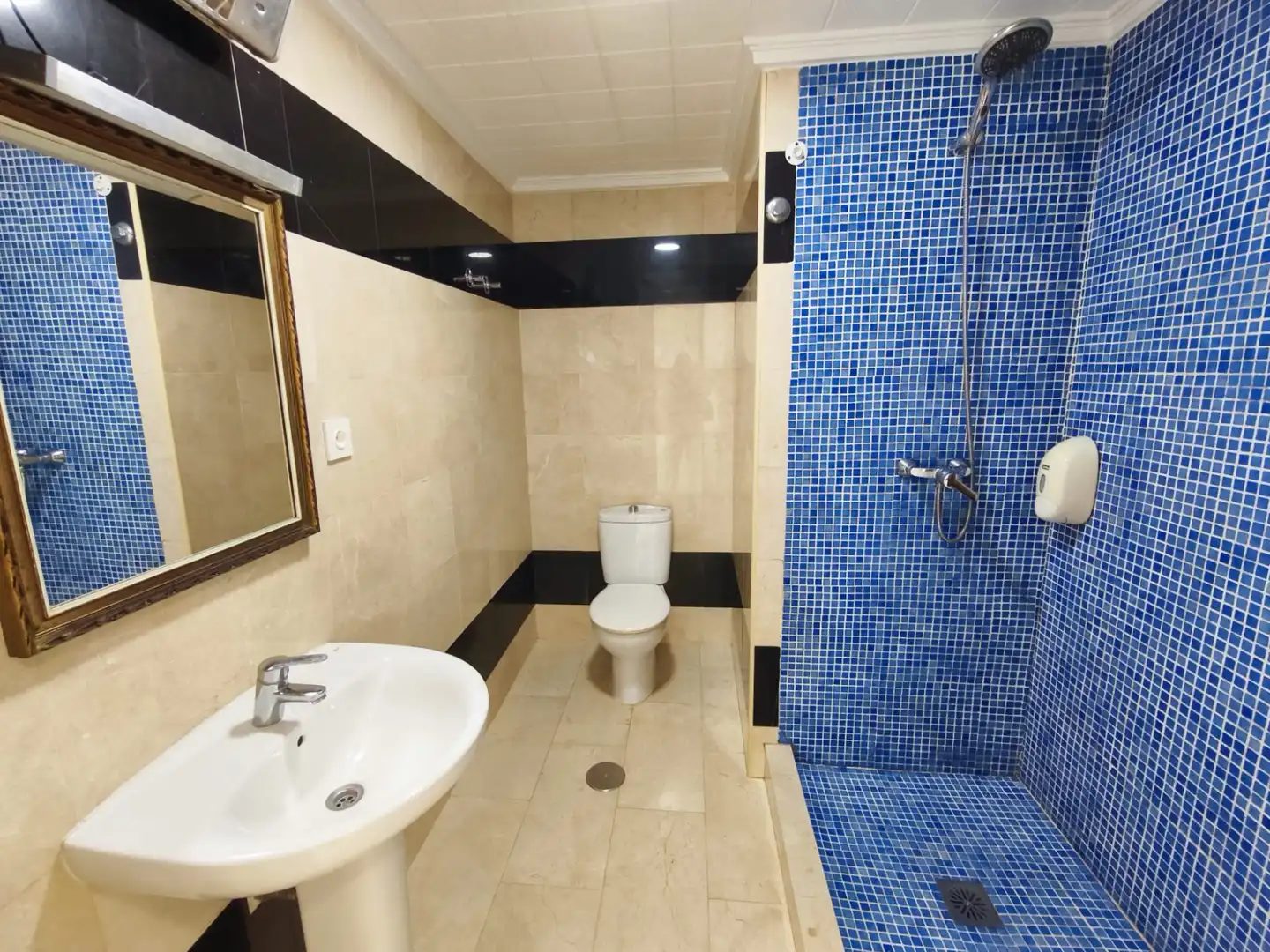 Bathroom of Houses for sale in Alicante / Alacant  with Private garden, Terrace and Community pool