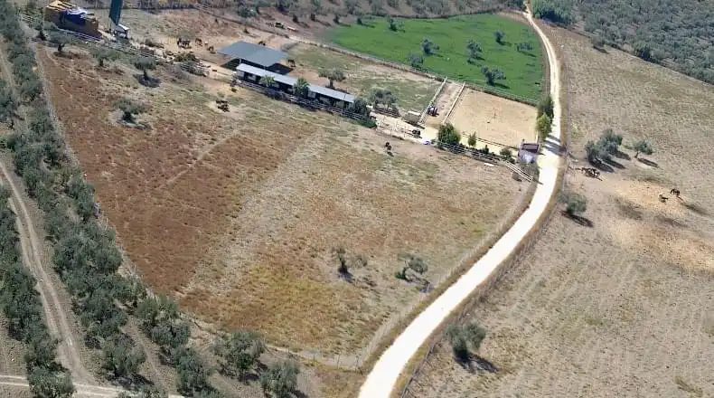 Terreny rústic en venda a Sanlúcar la Mayor, imagen 5