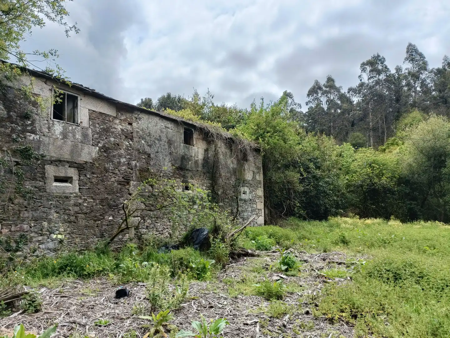 Vista exterior de Casa o xalet en venda en Aranga amb Jardí privat i Traster