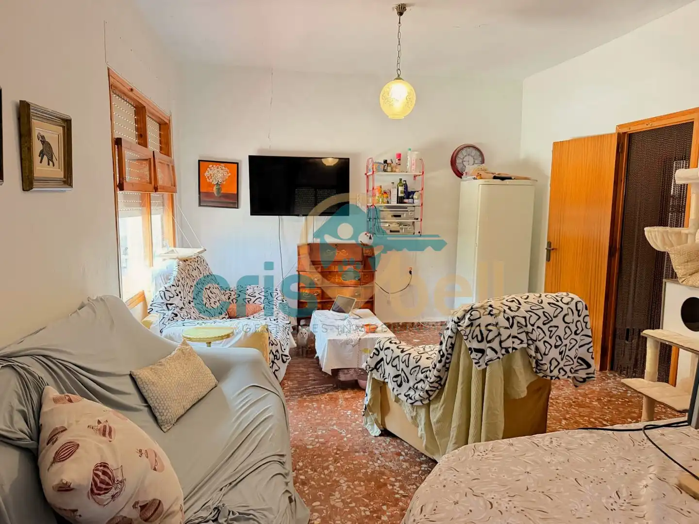 Casa con giardino in vendita a Pedanías Sur, imagen 13