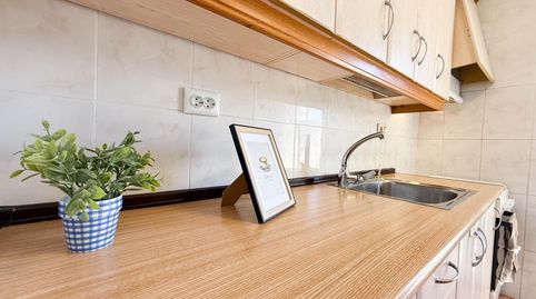 Foto 4 de Piso de alquiler en Calle Beniai, Camí dels Magros - Casablanca, Elche / Elx