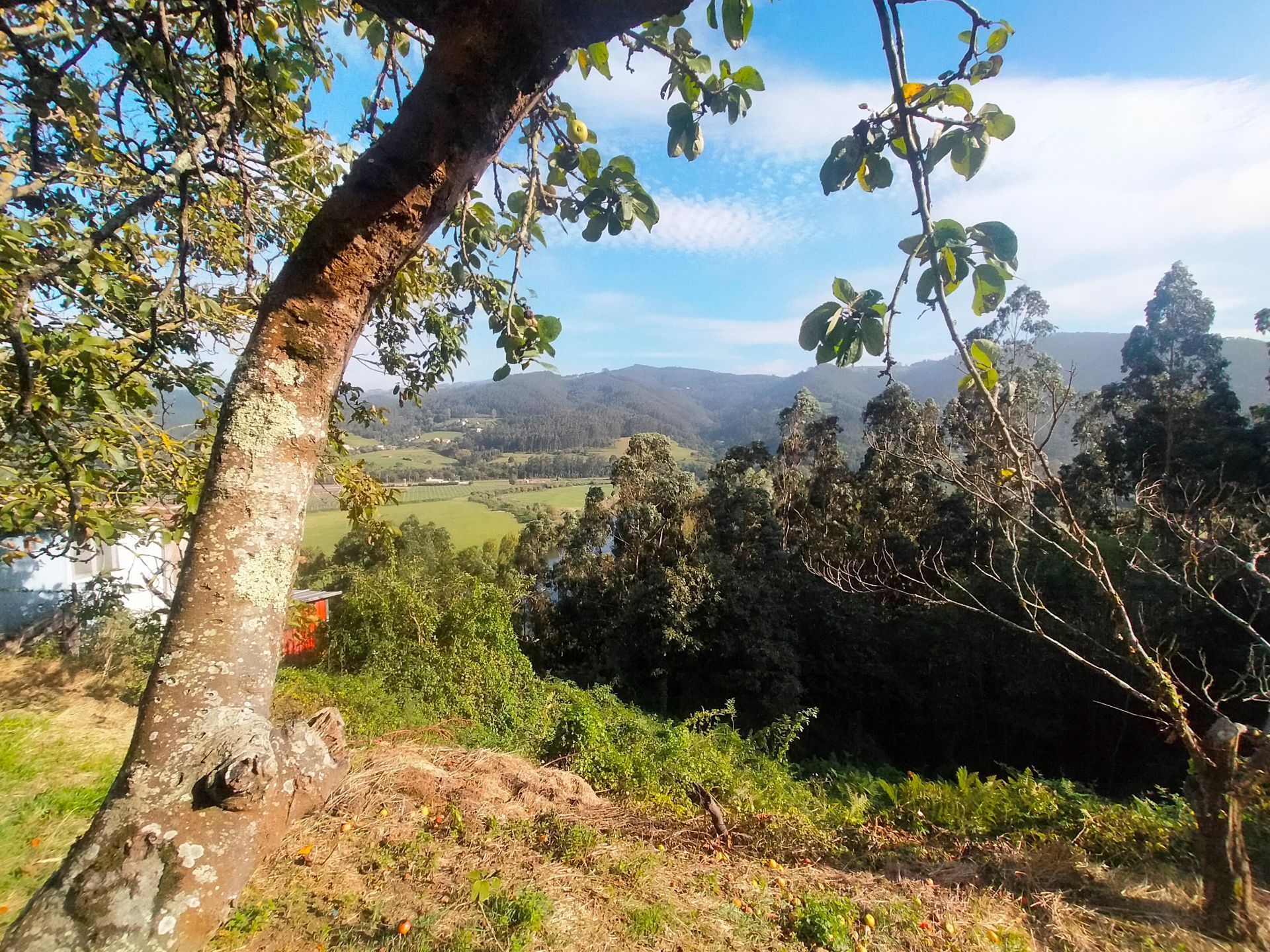Vista exterior de Casa o xalet en venda en Pravia amb Calefacció, Jardí privat i Terrassa