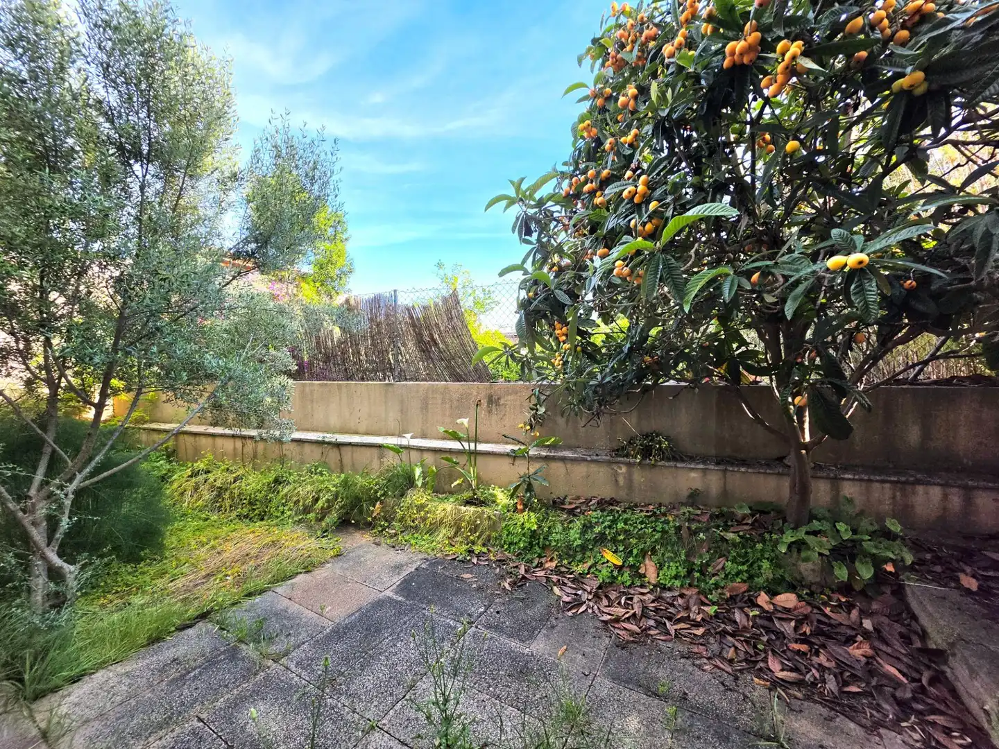 Adosado con terraza en venta en Carrer Carrer Florida, imagen 11