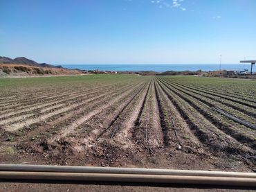 Terreno rustico in vendita a Calabardina