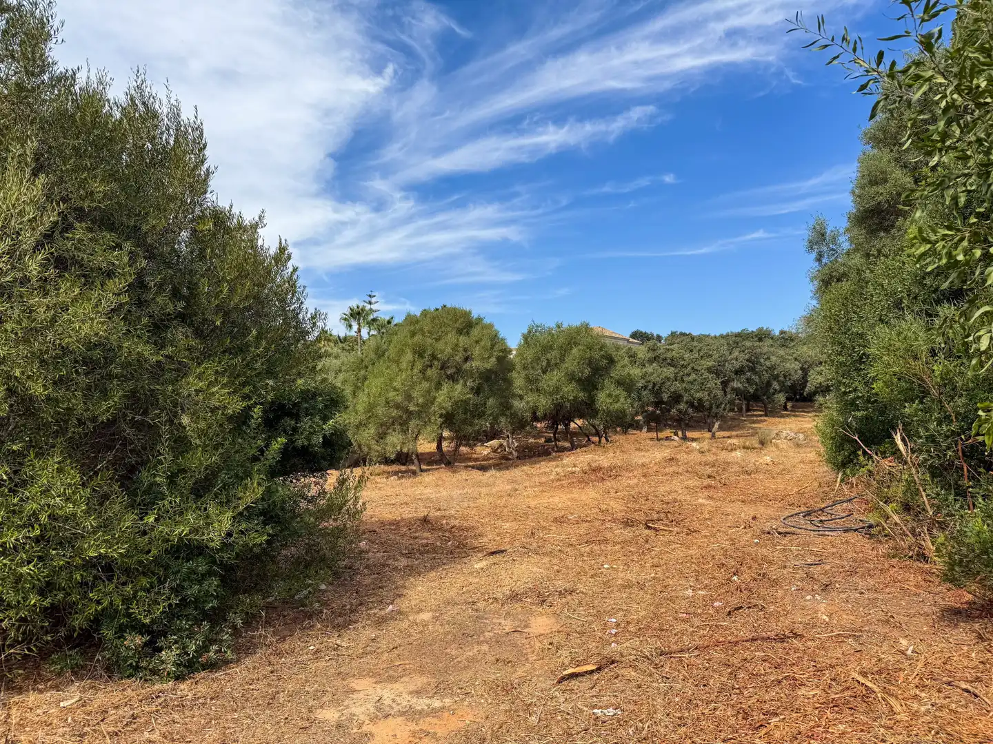 Grundstücke und Bauplätze zum Verkauf in Sotogrande Alto, imagen 19