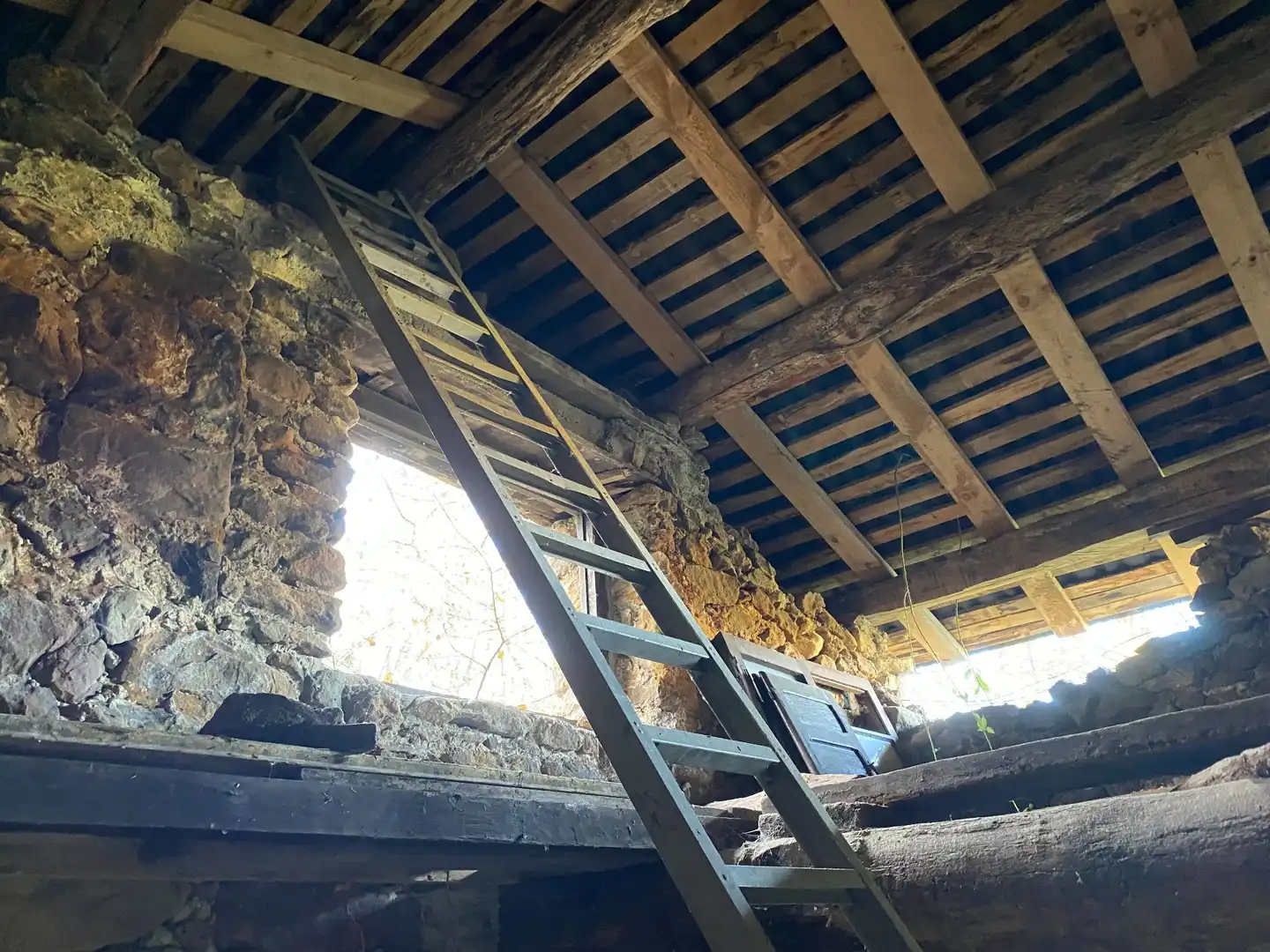Terreno rustico in vendita a Cangas de Onís, imagen 7