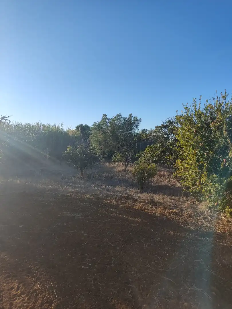 Land for sale in Conil de la Frontera