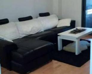 Living room of Flat for sale in Elche / Elx  with Air Conditioner, Heating and Terrace