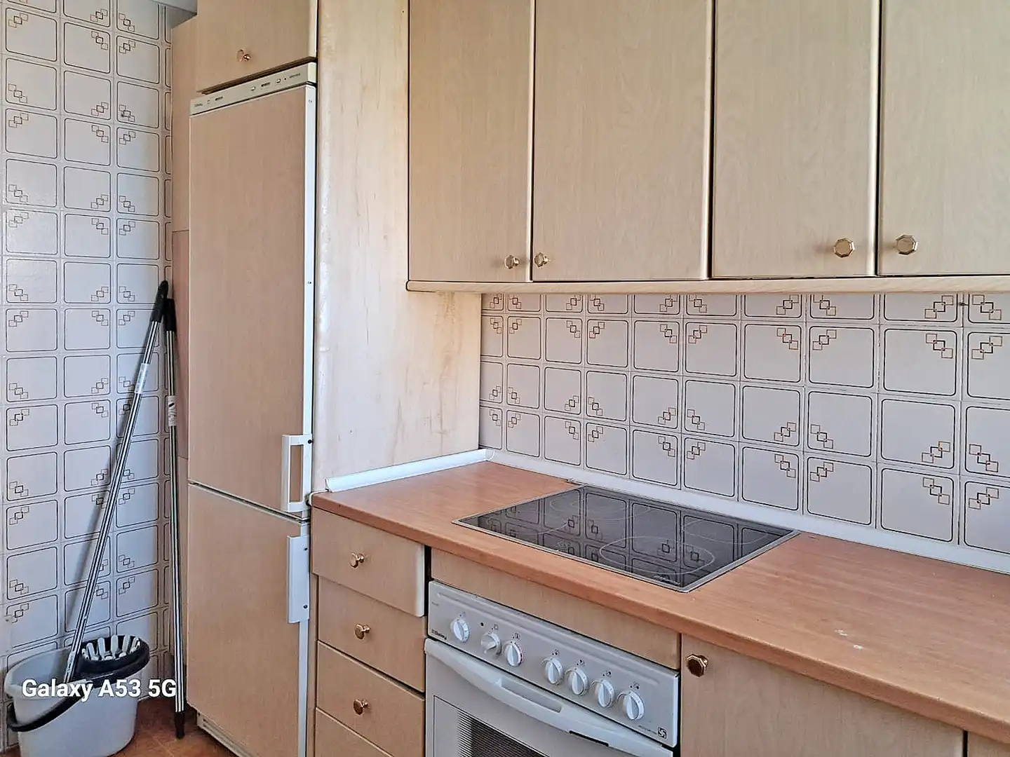 Cuina de Pis de lloguer en Benalmádena amb Aire condicionat, Jardí privat i Terrassa