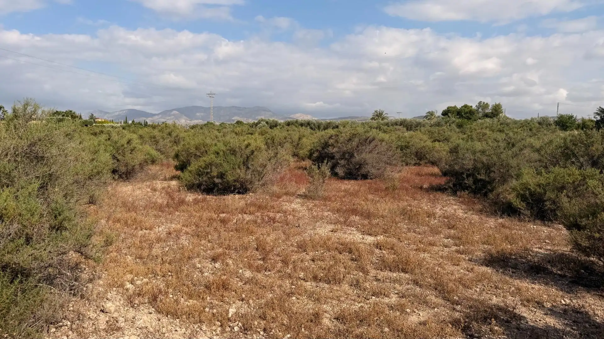 Residencial en venda en Elche / Elx