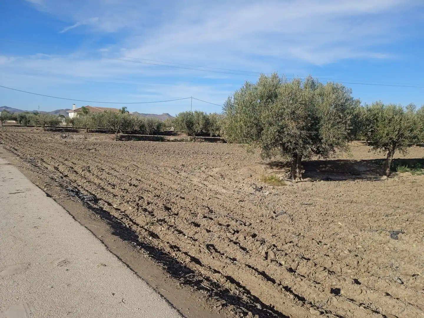 Rural land for sale in Puerto Lumbreras, imagen 3