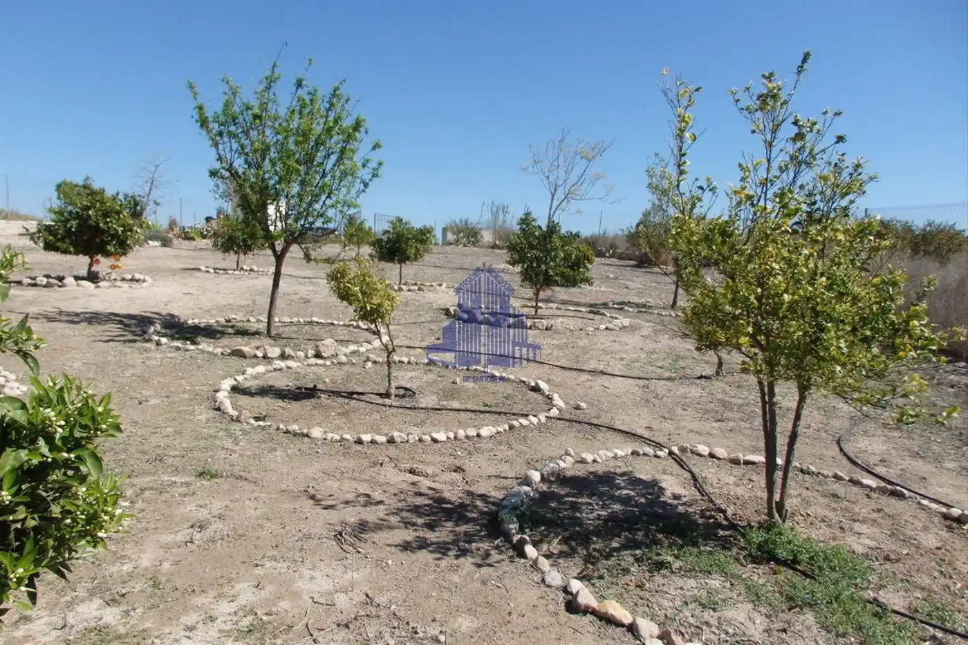 Terreny residencial en venda a Fortuna, imagen 14