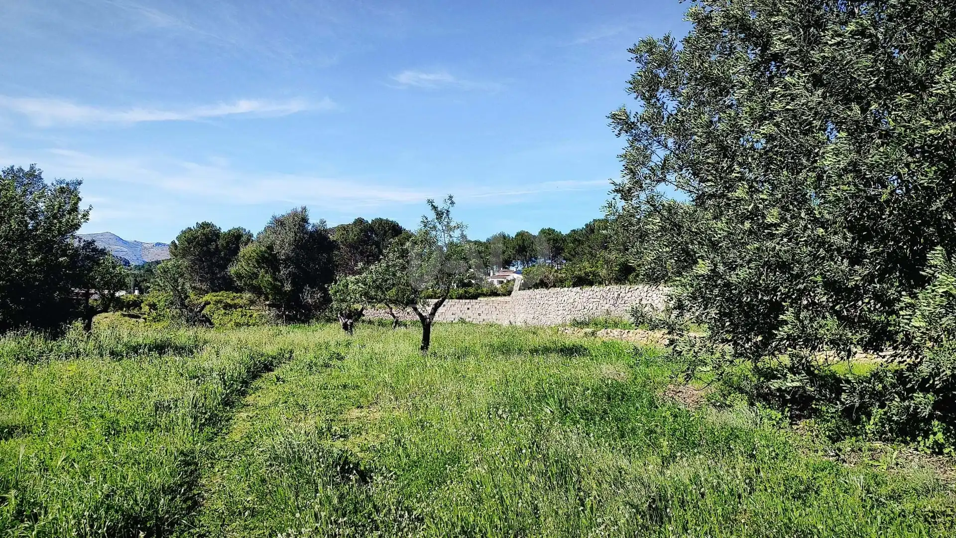 Residential for sale in Murla