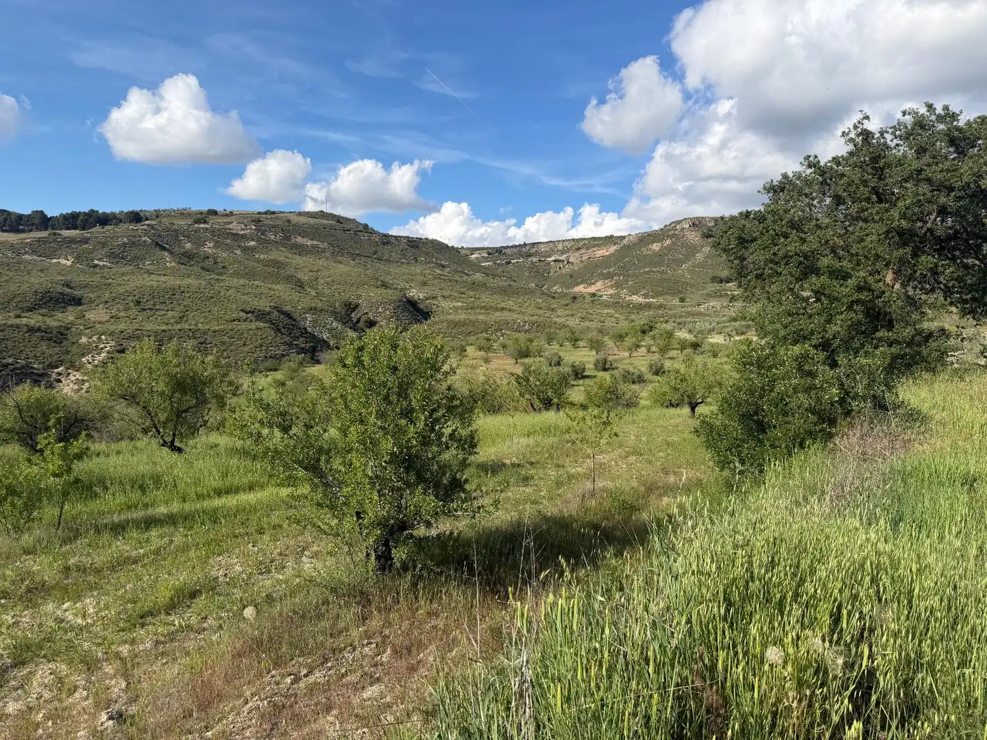 Rural land for sale in Lugar Poligono 7 Parcela 55, imagen 5