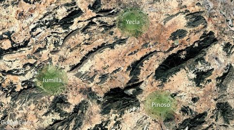 Solvia Inmobiliaria  Suelo urbanizable sectorizado Jumilla, immagine 5