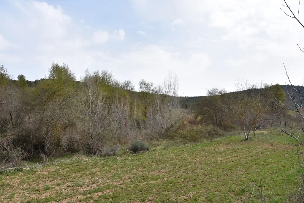 Terreni e lotti in vendita a Arens de Lledó, imagen 4