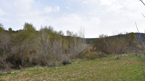 Foto 4 de Terreny en venda a Arens de Lledó, Teruel