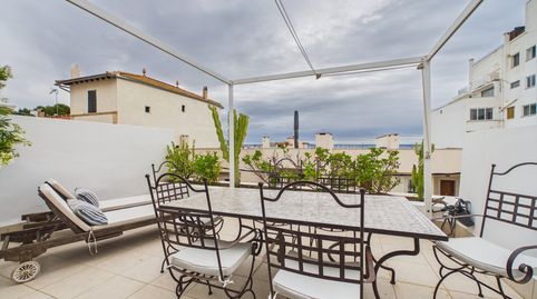 Foto 4 de Piso de alquiler en El Terreno, Palma de Mallorca