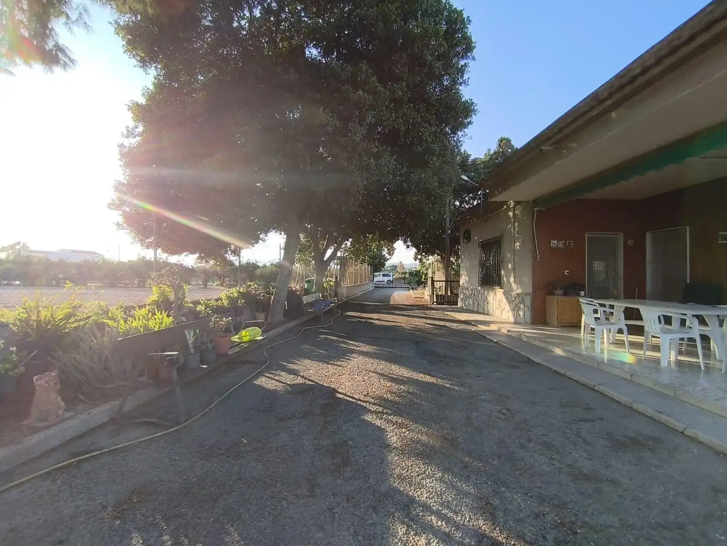 Vista exterior de Casa o xalet en venda en Elche / Elx amb Jardí privat