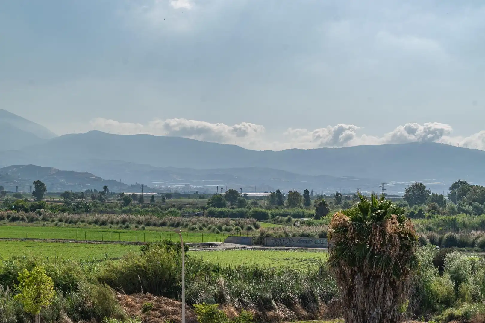 Exterior view of Flat for sale in Salobreña  with Private garden, Terrace and Furnished