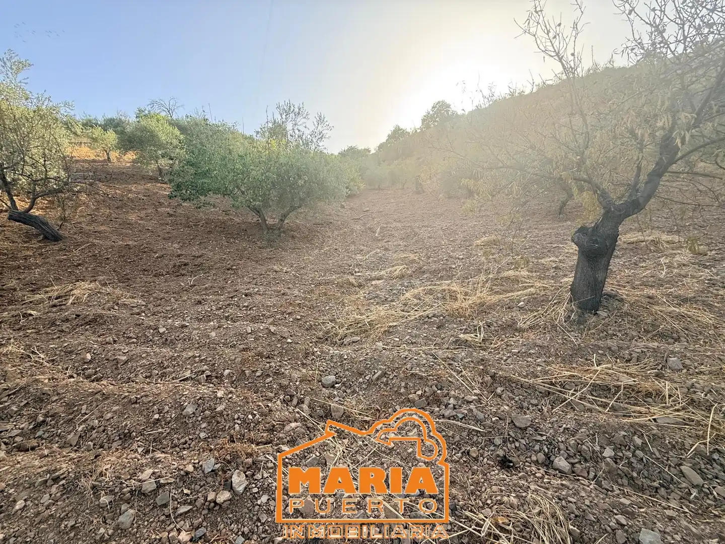 Terreno rustico in vendita a Almogía, imagen 21