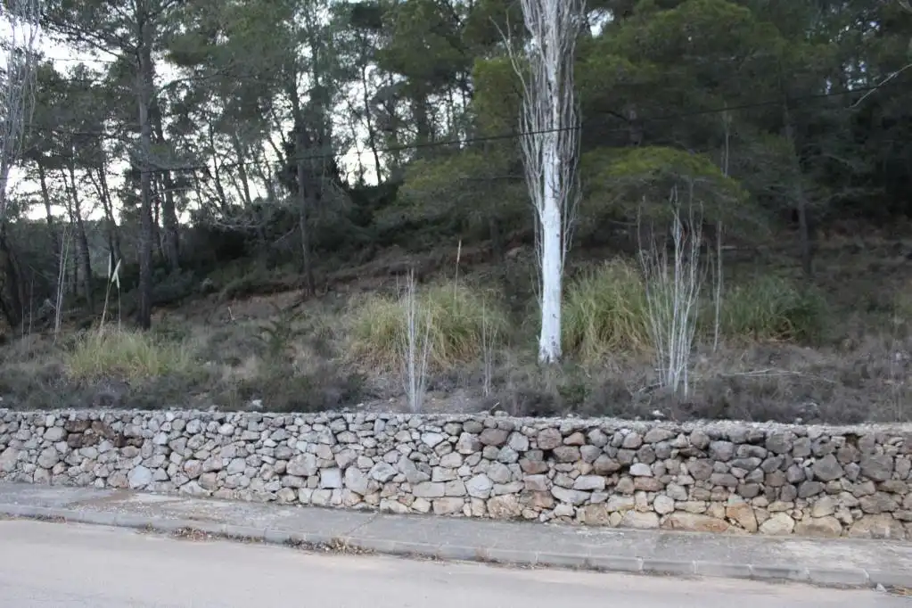 Terreny rústic en venda a ALDEA DE VALLFLOR, imagen 9