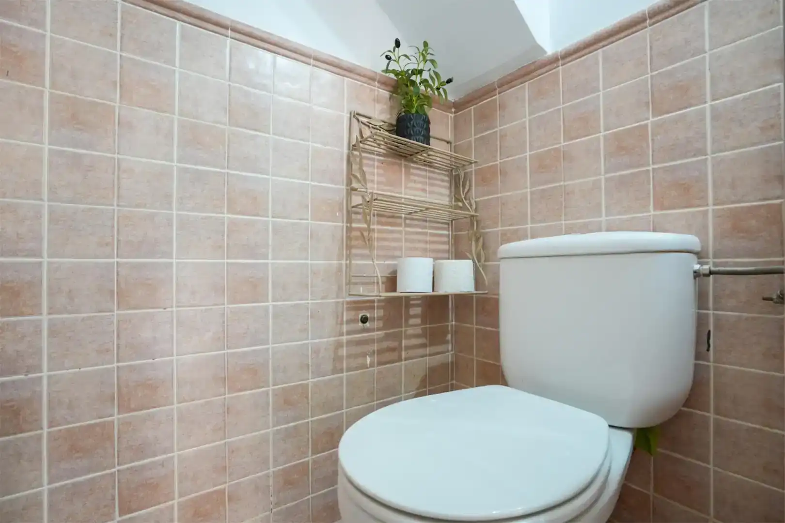 Bany de Casa o xalet en venda en Rivas-Vaciamadrid