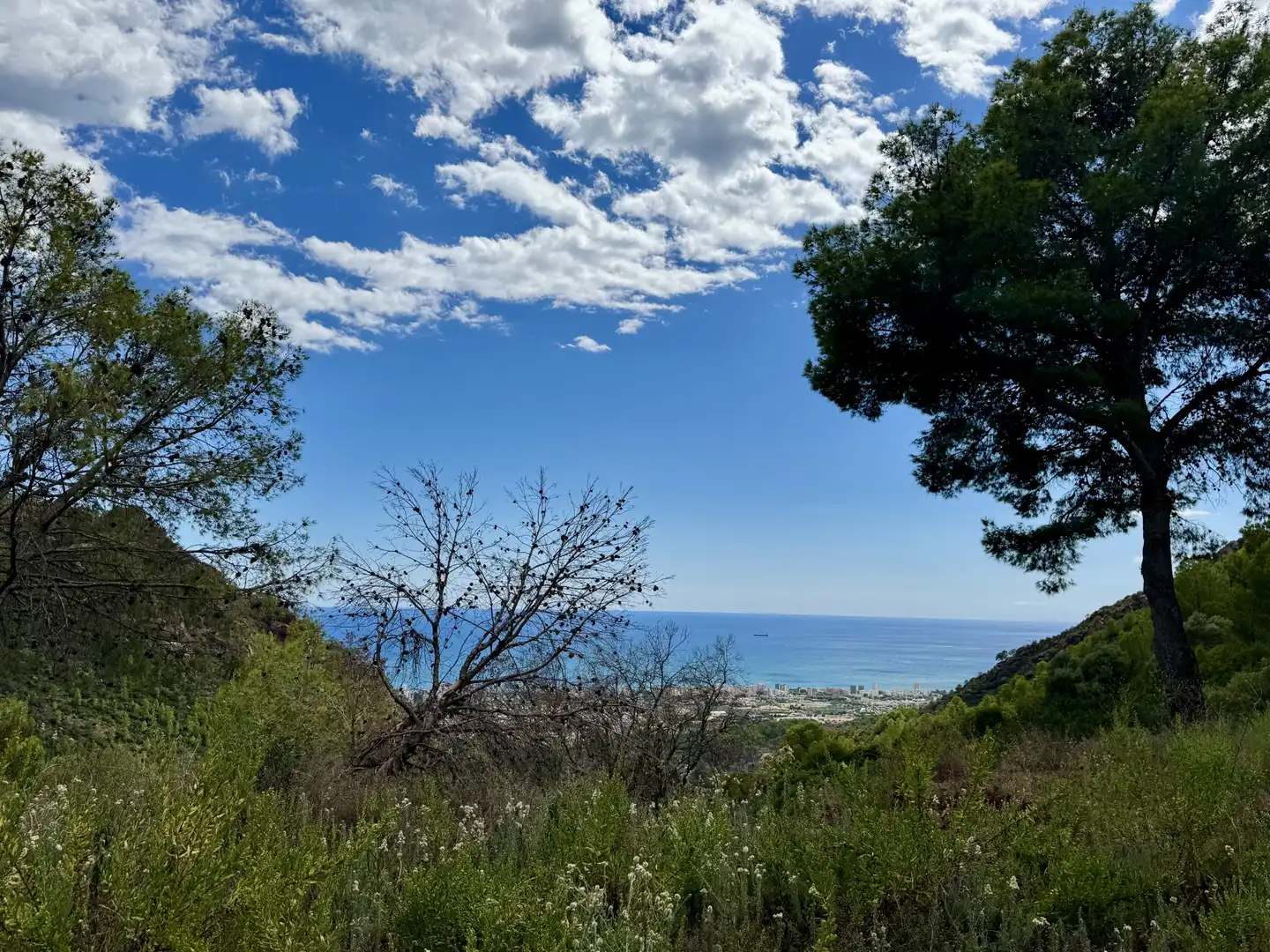 Vista exterior de Casa o chalet en venta en Benicasim / Benicàssim con Calefacción, Jardín privado y Terraza