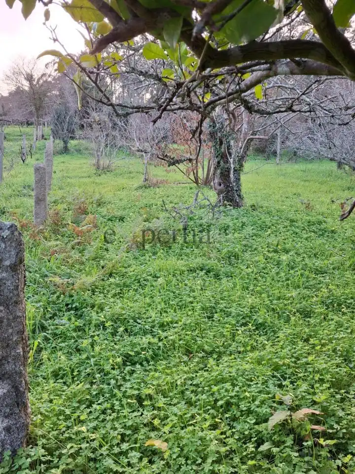 Rustikales Grundstück zum Verkauf in Boiro, imagen 6