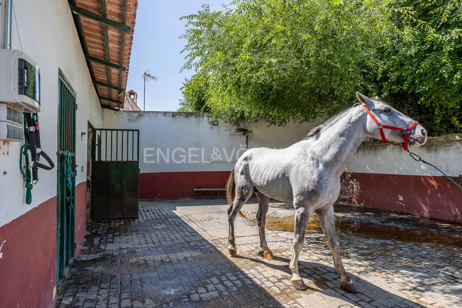Vista exterior de Finca rústica en venta en Alcalá del Río con Aire acondicionado, Calefacción y Jardín privado