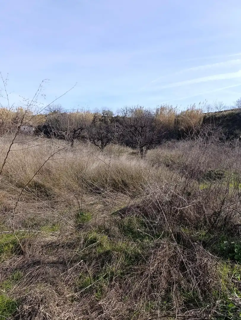 Rustikales Grundstück zum Verkauf in Cehegín, imagen 11