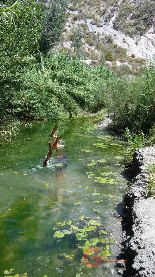 Villa avec piscine à vendre à Órgiva, imagen 25