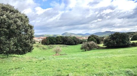 FINCA CENTRICA EN AJO., immagine 2