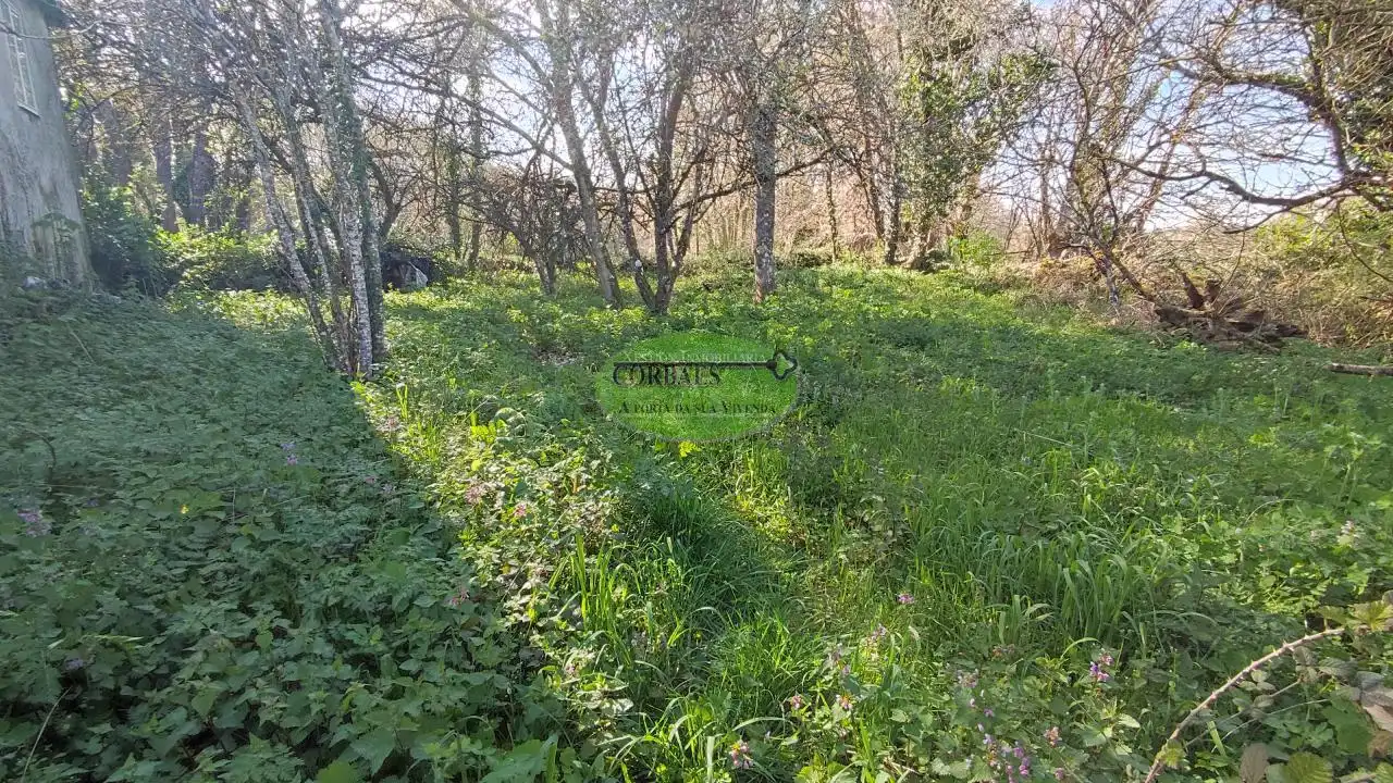 Casa amb jardí en venda a Pantón, imagen 14