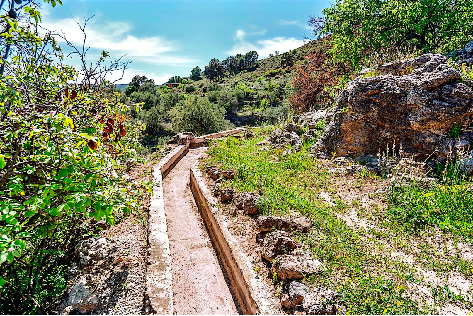 Terrain rustique à vendre à El Pinar, imagen 20