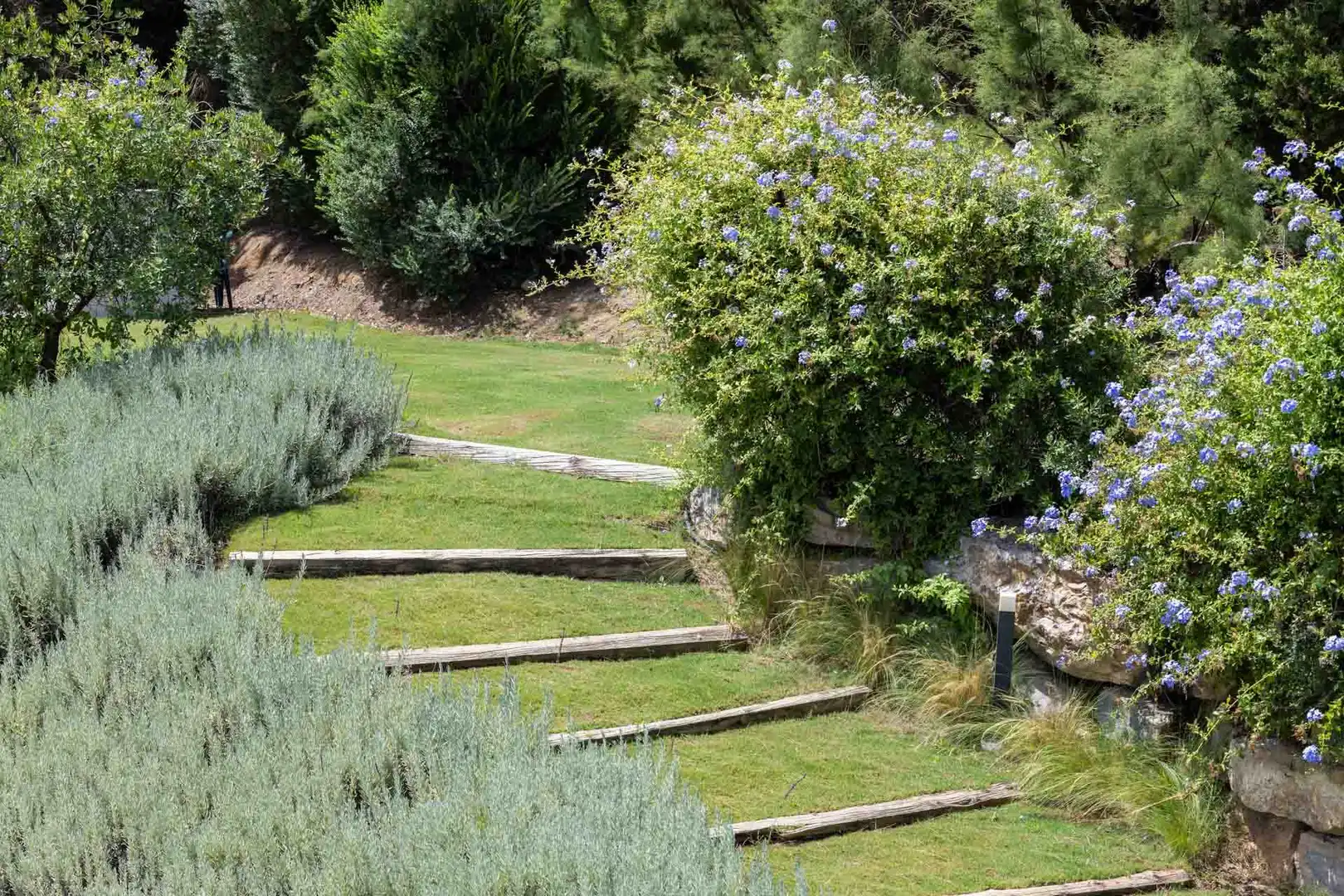Maison avec piscine à vendre à Sotogrande Alto, imagen 20