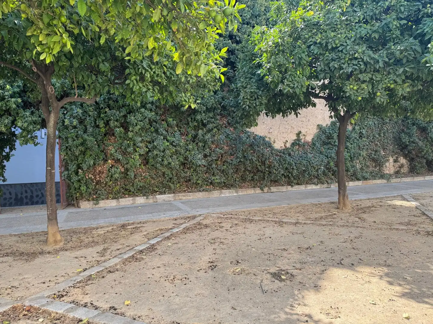 Business premises for sale in Centro, imagen 9