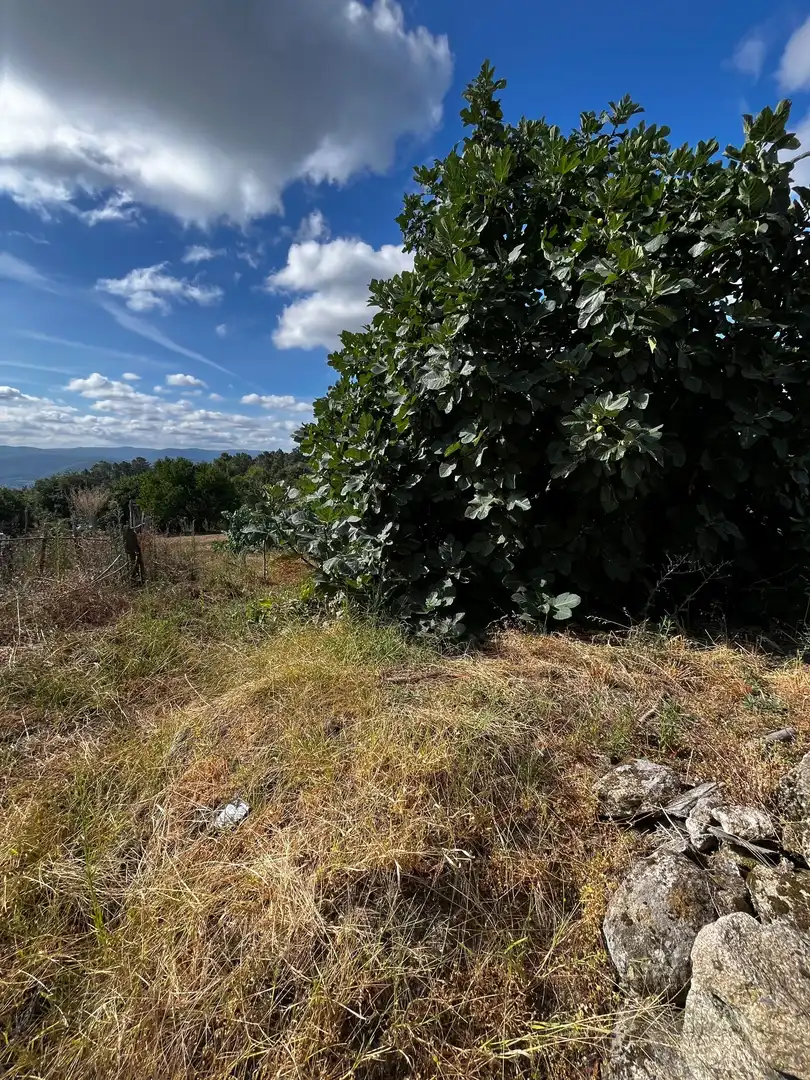Casa rústica en venda a Punxín, imagen 27