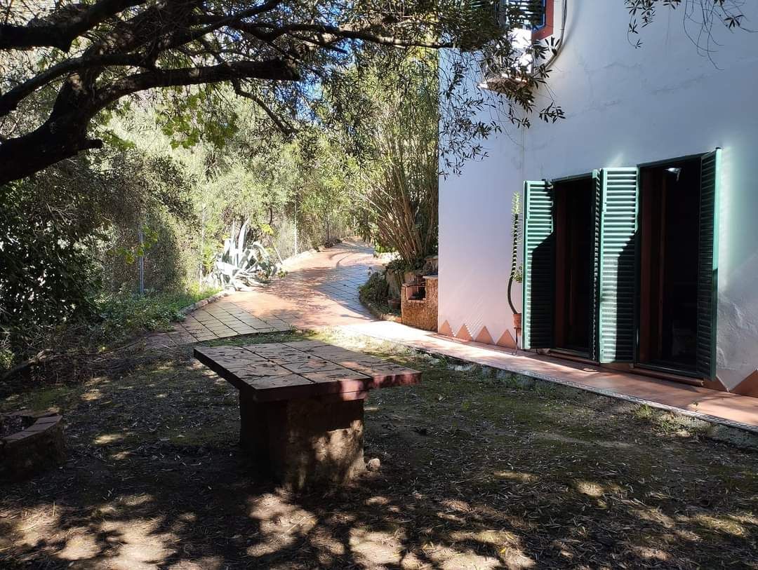 Jardí de Casa o xalet en venda en Algodonales amb Jardí privat, Terrassa i Moblat
