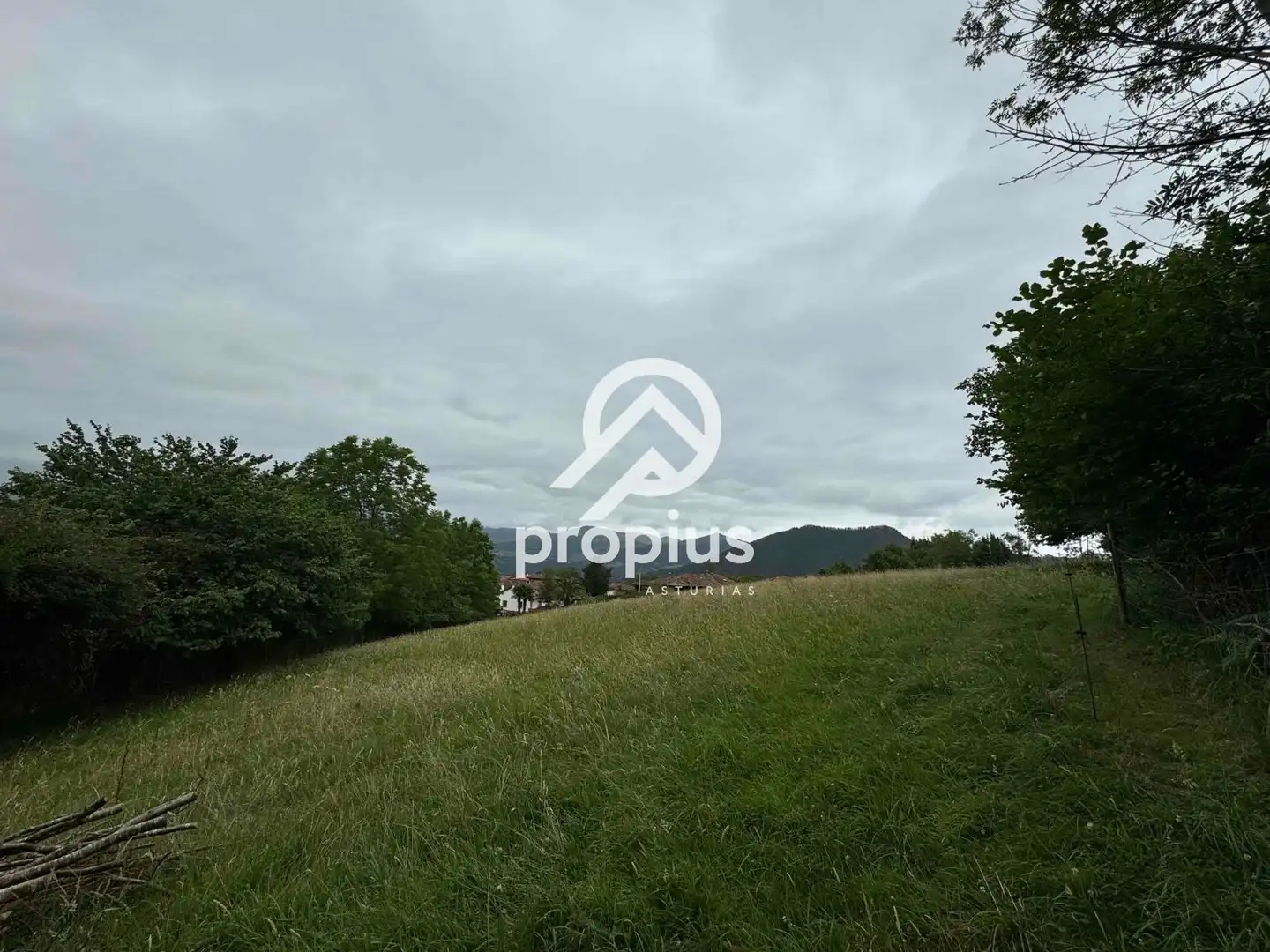Rural land for sale in Arenas, imagen 17