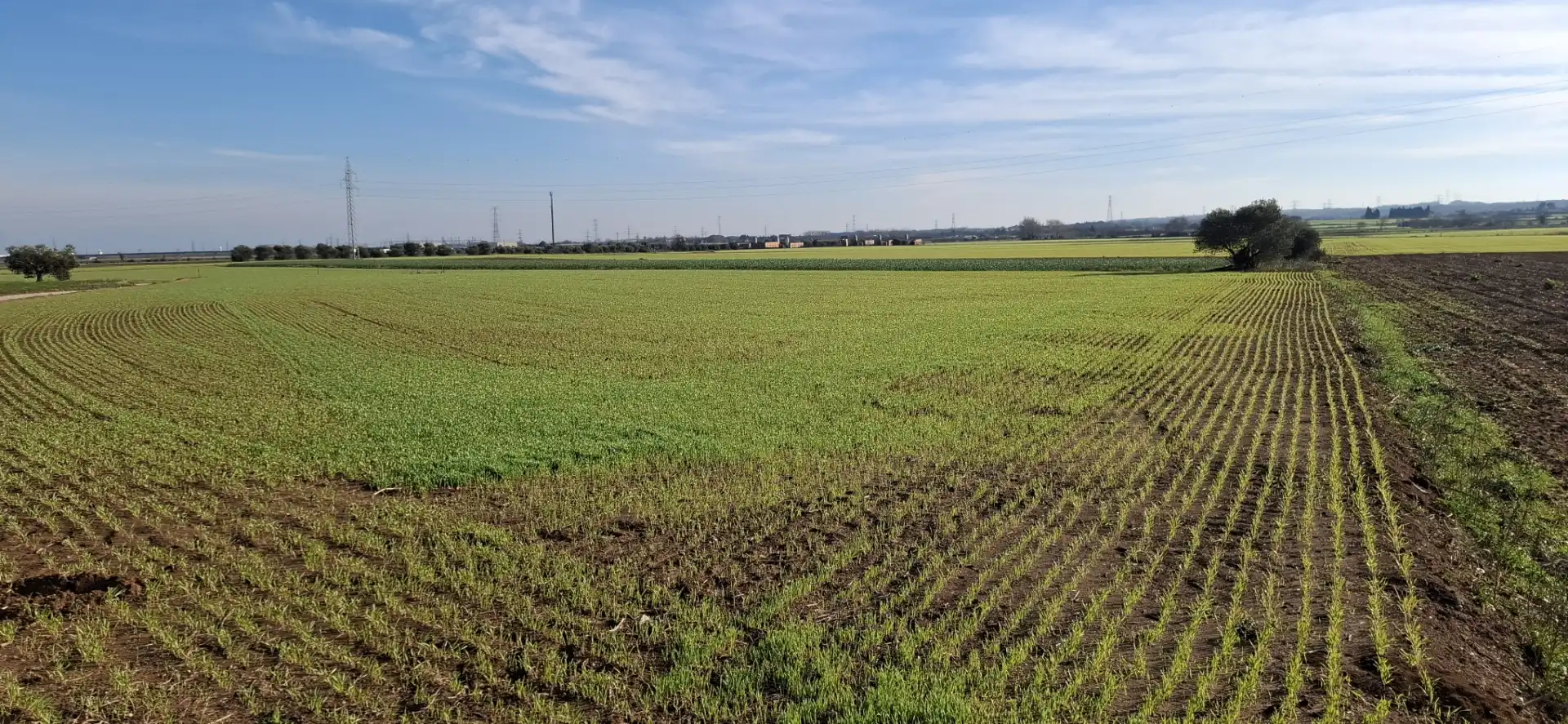 Terreno en venta en Vilafant