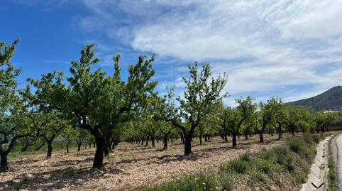 Foto 3 de Pis en venda a N/a, -1, Hondón de los Frailes, Alicante